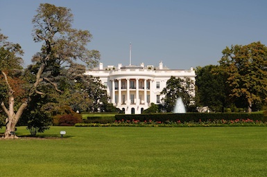 The white house
